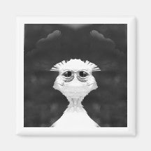 weird 8x8 refrigerator magnet