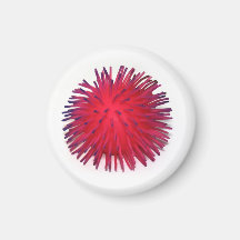 Weird Fridge Magnet