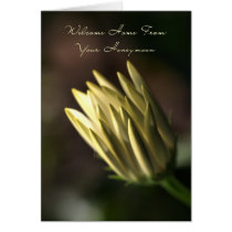 Welcome Home From Your Honeymoon - Flower Bud cards