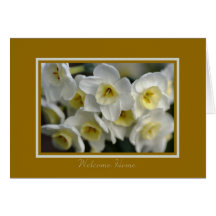 Welcome Home - White Daffodils Greeting Cards
