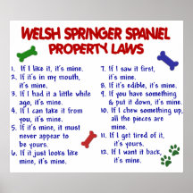 WELSH SPRINGER SPANIEL PL2 POSTERS