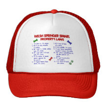 WELSH SPRINGER SPANIEL Property Laws 2 Hat