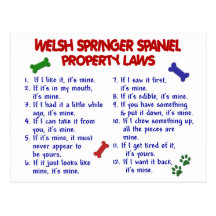WELSH SPRINGER SPANIEL Property Laws 2 Postcard