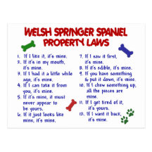 WELSH SPRINGER SPANIEL Property Laws 2 Postcards