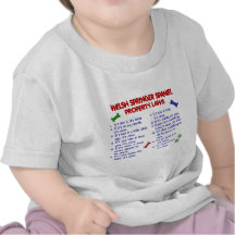 WELSH SPRINGER SPANIEL Property Laws 2 Tee Shirt