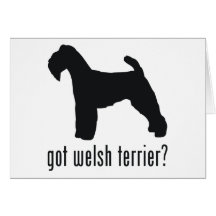 Welsh Terrier Greeting Card