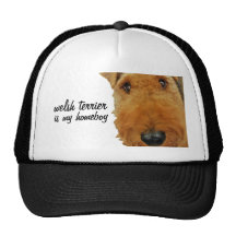 "Welsh Terrier is my Homeboy" Trucker Hat