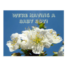 We're Having a Baby Boy! Announcement Invites Post Cards
