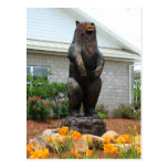 West Lincoln Bears Post Cards