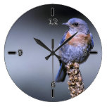 Western Bluebird Clock (With Numbers)