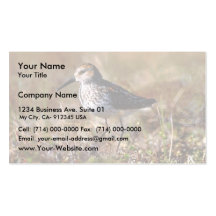 Western Sandpiper Business Cards