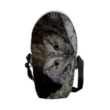 Western Screech Owl Messenger Bag