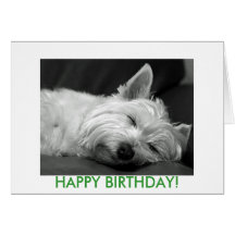 Westie Dog Birthday Card