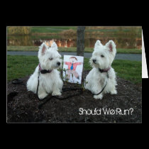 Westie Just for Fun Card "Should We Run?" cards