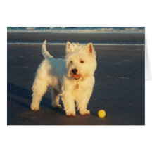 Westies and the Ocean Card