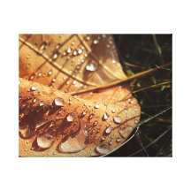 Wet Autumn Leaf - Canvas Gallery Wrapped Canvas