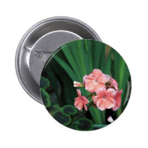 wet geraniums buttons