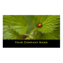 Wet Ladybugs Custom Business Cards business cards