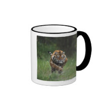 Wet Siberian Tiger Charging Mugs