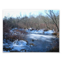 Wetland Ponds in Winter Art Photo