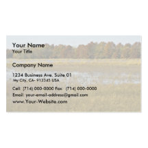 Wetland with autumn trees and ducks rising business cards