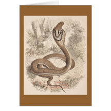WH Freeman - Cobra Di Capello Greeting Card