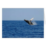 Whale of a Time Greeting Card