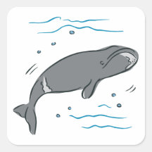 Whale Whales Marine Mammals Cetacea Ocean Art Stickers