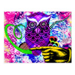 What a Hoot Postcard