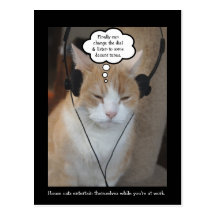 What do house cats do all day? postcard