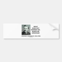 What Does Not Destroy Me Makes Me Stronger Bumper Sticker