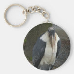 What Kind of Bird is it? Keychain