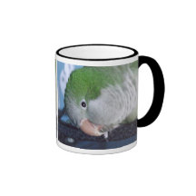 Whatcha Doin'? Quaker Parakeet Mugs