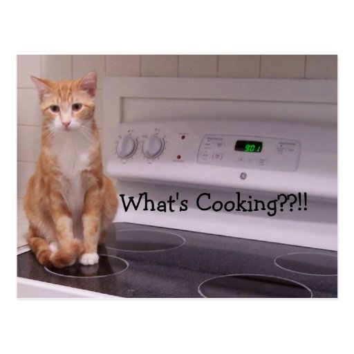 What's Cooking??!! Postcard
