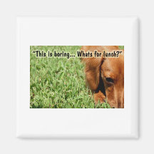 Whats for lunch? fridge magnets