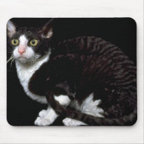 What's That? mousepads