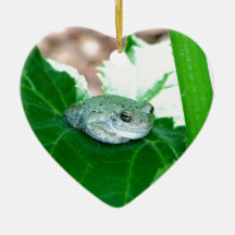 What's Up, Tree Frog Christmas Ornament