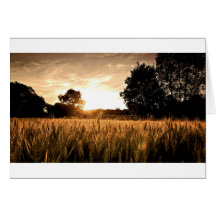 WHEAT FIELD GREETING CARDS