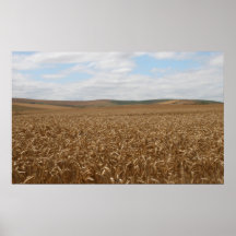 Wheat Field in Wiltshire 2 Posters