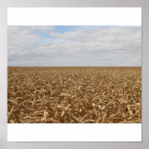 Wheat Field in Wiltshire 3 Print