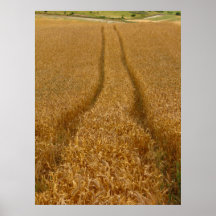 Wheat Field Painting Print