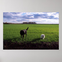 Wheat Field Poster