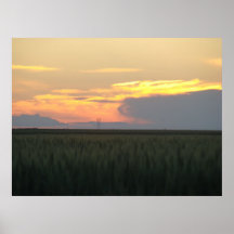 Wheatfield at Sunset Posters