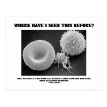 Where Have I Seen This Before? Blood Cells Postcards