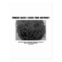 Where Have I Seen This Before? Leukocyte Post Cards