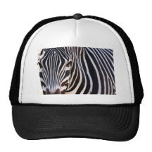 Where Is The Zebra? Hats