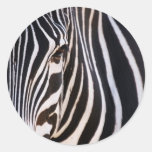 Where Is The Zebra? Round Sticker