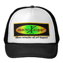 Where miracles of art hap... mesh hats