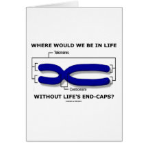 Where Would We Be In Life Without Life's End Caps? Greeting Card