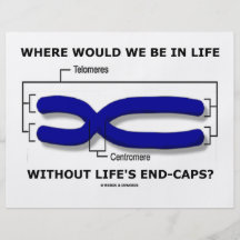 Where Would We Be In Life Without Life's End Caps? Full Color Flyer